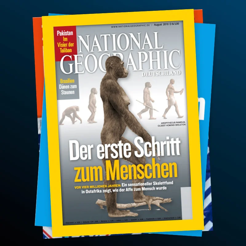 Coverdesign (3/5)